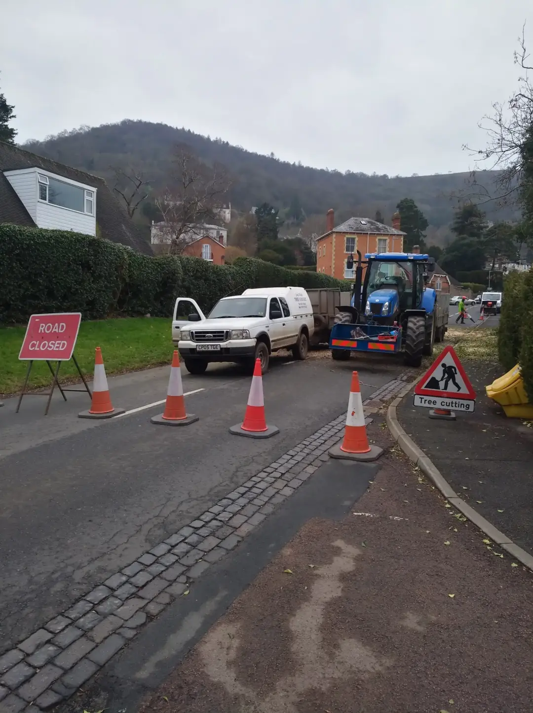 Tree Surgery For Public Spaces Malvern, Ledbury and Worcester