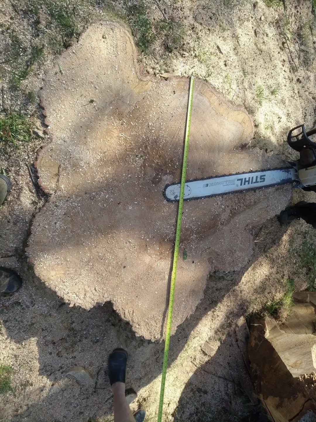 Stump Grinding Malvern, Ledbury, Worcester