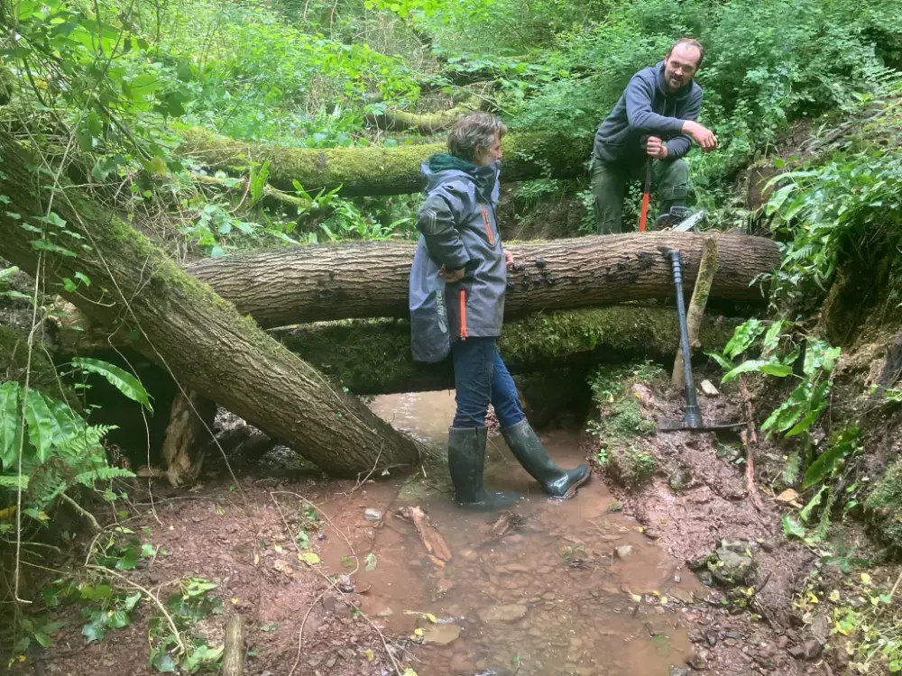 Emergency Tree Surgeon Malvern, Ledbury, Worcester