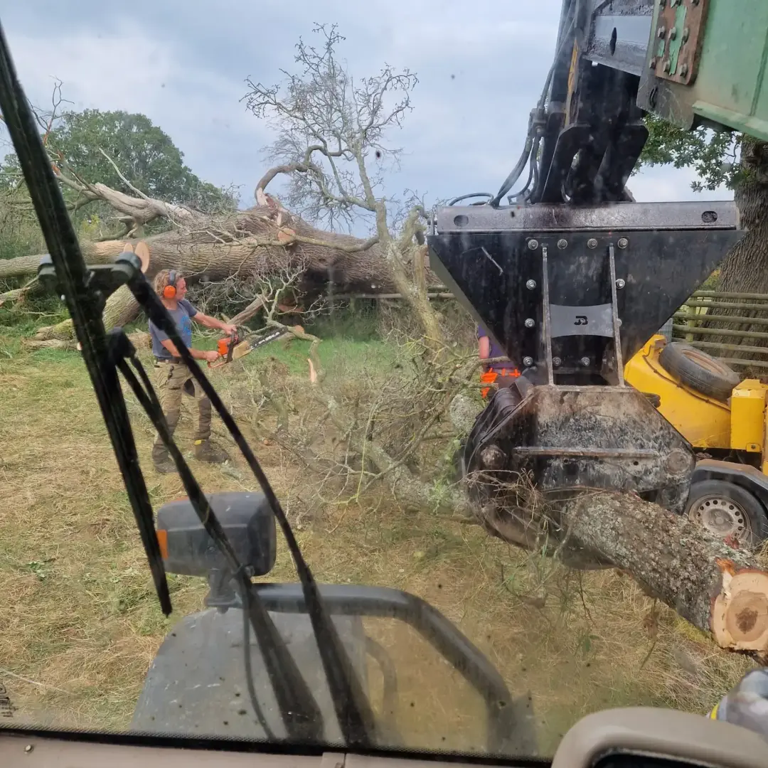 Our Woodland Contractor Malvern, Ledbury, Worcester 