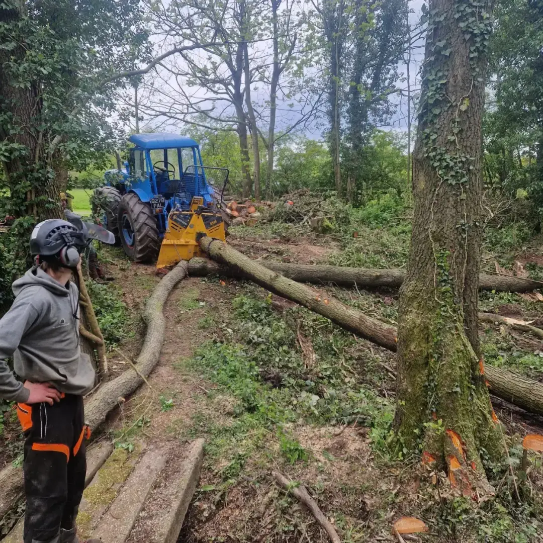  Forestry Management Services | Malvern, Ledbury, Worcester 